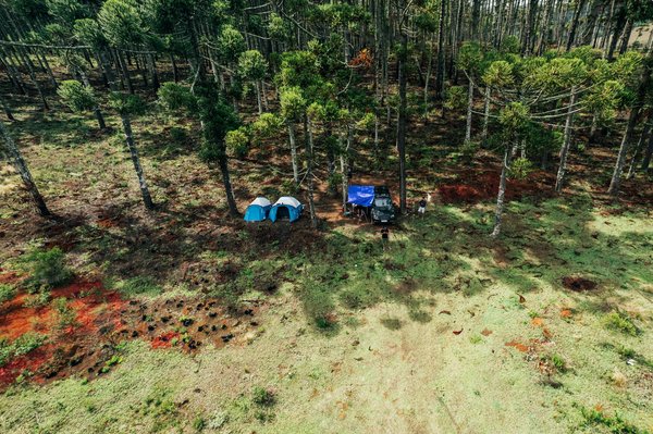 Unearthing the Ultimate Guided Experiences: A Comprehensive Tour of the UK's Prestigious Historic Universities